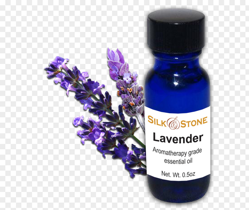 Lavender Oil English Essential Health PNG