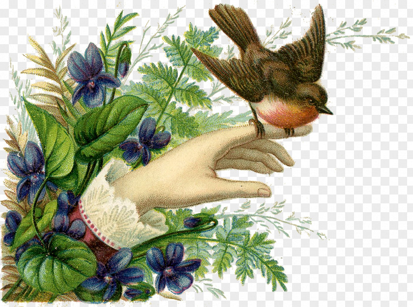 Vintage Card Hummingbird European Robin Flower Ceramic PNG