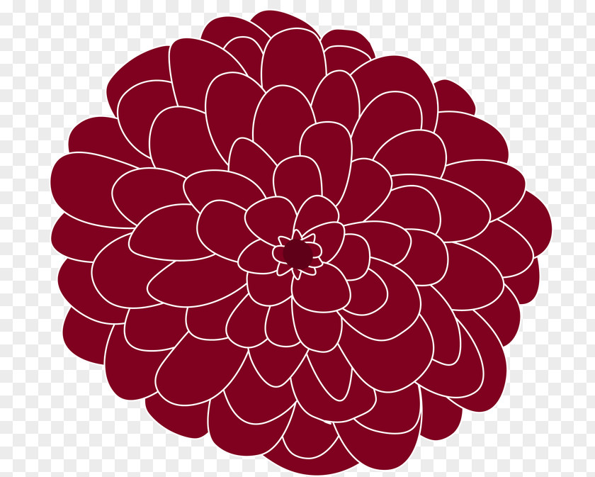 Zinnias Bubble Dahlia Floral Design Cut Flowers Chrysanthemum PNG