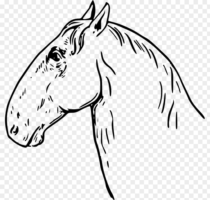 Arabian Horse American Quarter Horses Head Mask Clip Art PNG