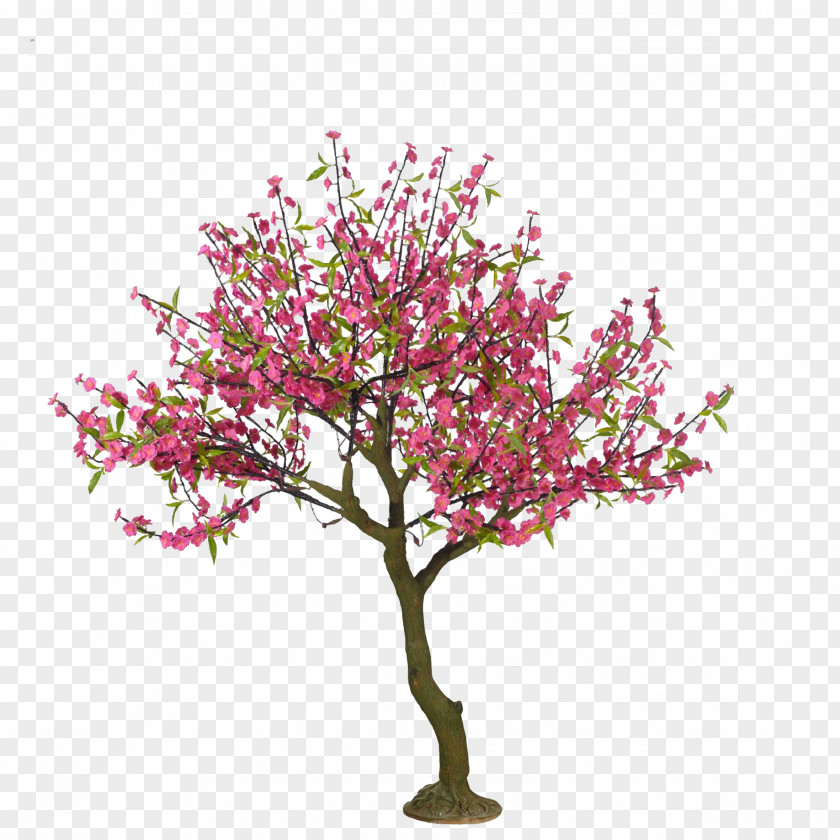 Cartoon Hand-painted Cherry Trees Buckle Free Material Blossom Tree Drawing Peach PNG