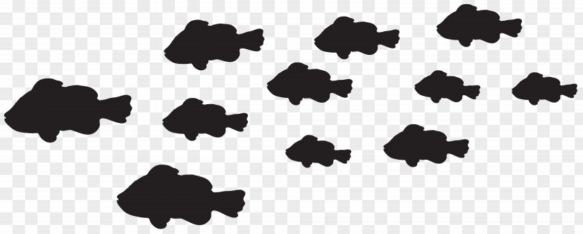 Fishes Silhouette Clip Art Image Fish PNG