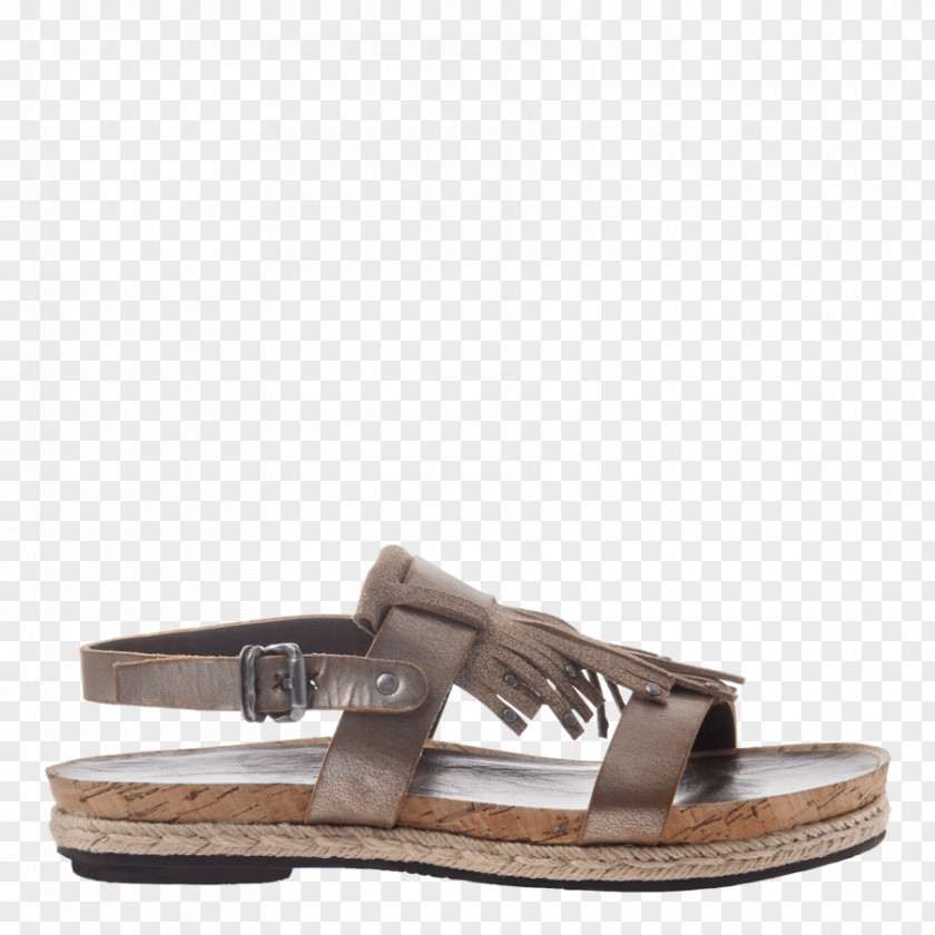 Flat Footwear Sandal Wedge Fashion Shoe PNG