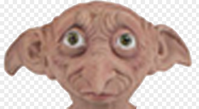Harry Potter Dobby The House Elf And Chamber Of Secrets Hogwarts Snout PNG
