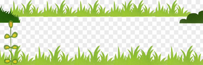 Lawn Grassland Vetiver Wheatgrass Vegetation PNG