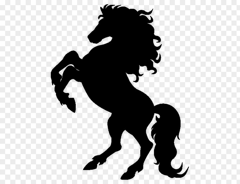 Mustang Stallion Pony American Saddlebred Rearing PNG