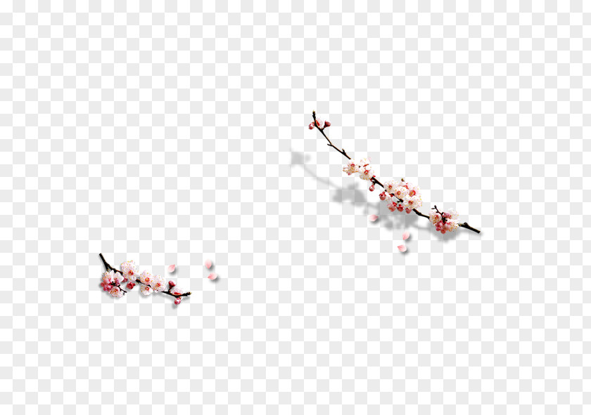Plum Flower Adobe Illustrator Computer File PNG