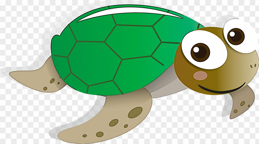 Sea Turtle Tortoise Green PNG