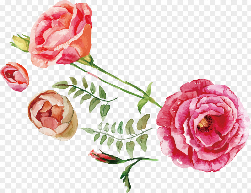 Watercolor Roses Rose Flower Bouquet Illustration PNG