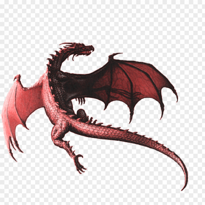 Dragon Flying Red T-Shirt Image Art PNG