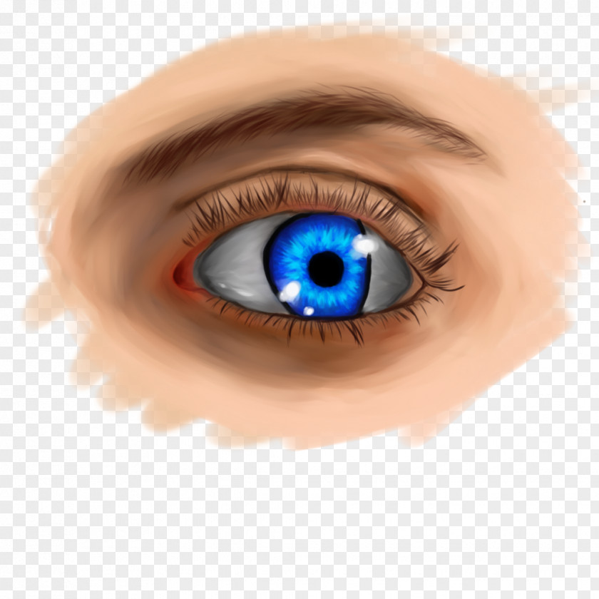 Eyebrow Drawing Contact Lenses Close-up PNG