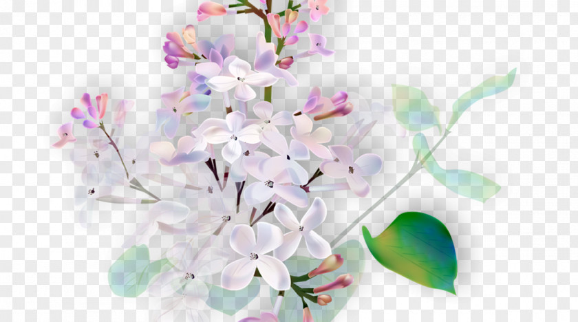 Flower Floral Design CrossFire: Legends Cut Flowers PNG