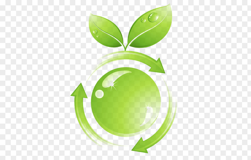 Natural Environment Environmentally Friendly Ecodesign Product Life-cycle Management PNG