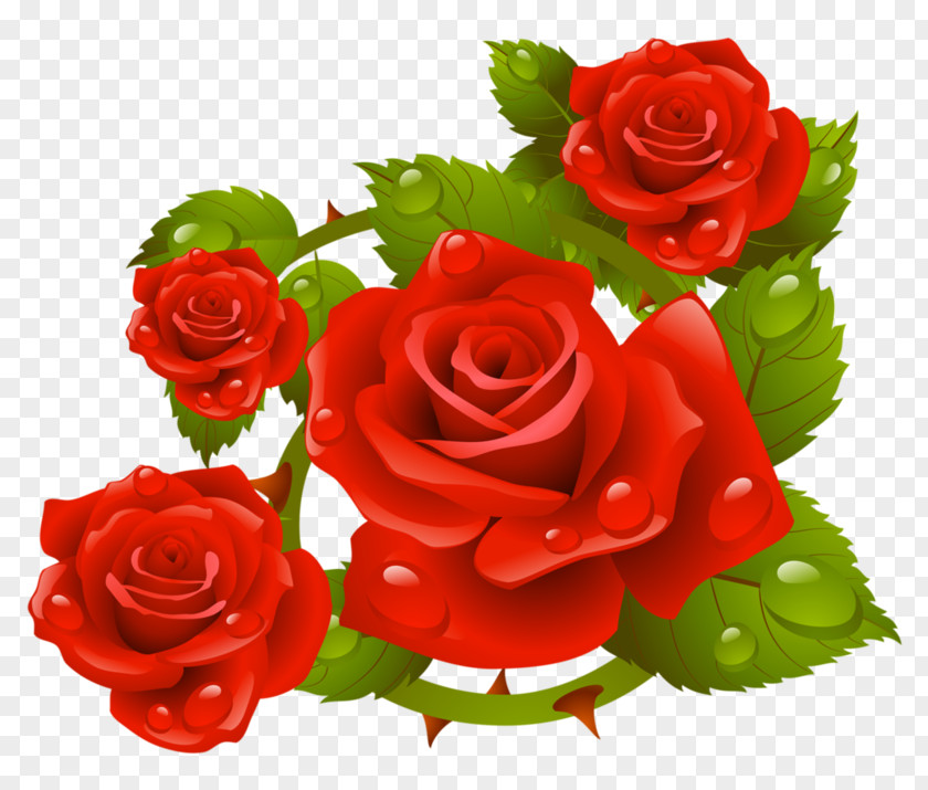 Red Roses Background Psd Clip Art Flower Bouquet Rose Floral Design PNG