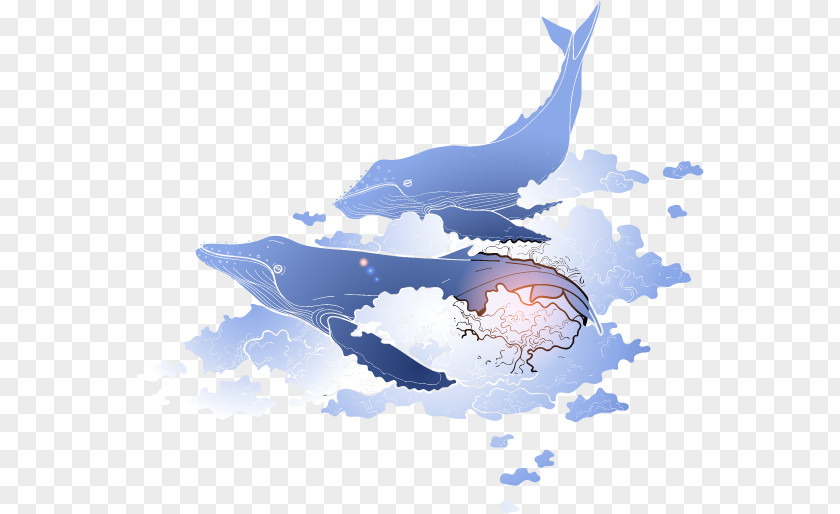 Whale Blue Marine Mammal PNG