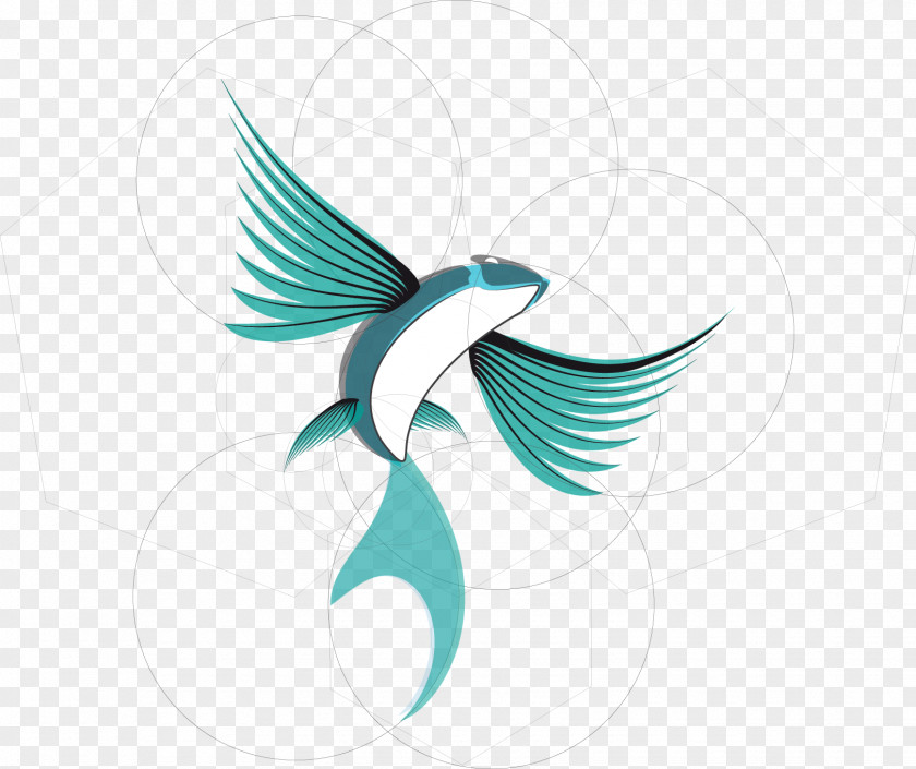 35 Flying Fish Drawing Flight Ornithopter PNG