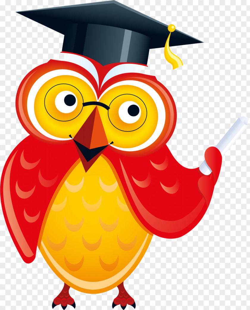 Graduation Bird Of Prey Background PNG