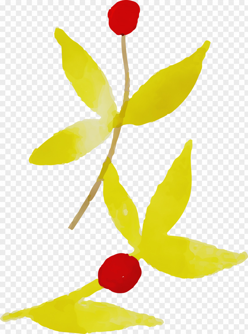 Plant Stem Leaf Petal Yellow Flora PNG
