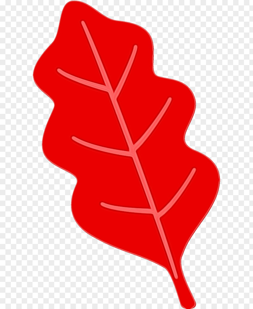 Plant Tree Red Leaf PNG