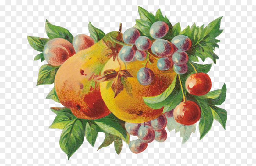 Apple Berry Fruit Vegetarian Cuisine Pear PNG