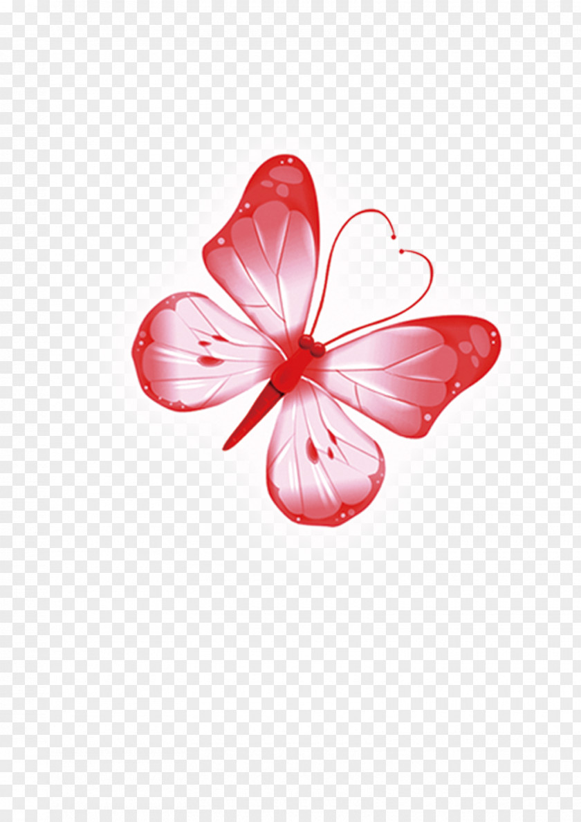 Butterfly Moth Insect Euclidean Vector PNG