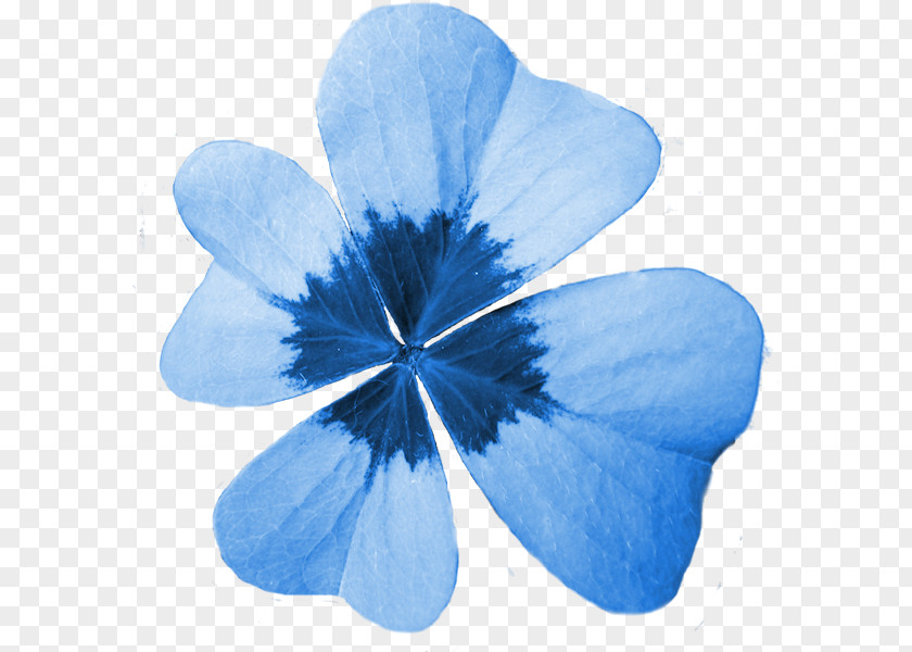 Clover Four-leaf Quatrefoil Blue Luck PNG