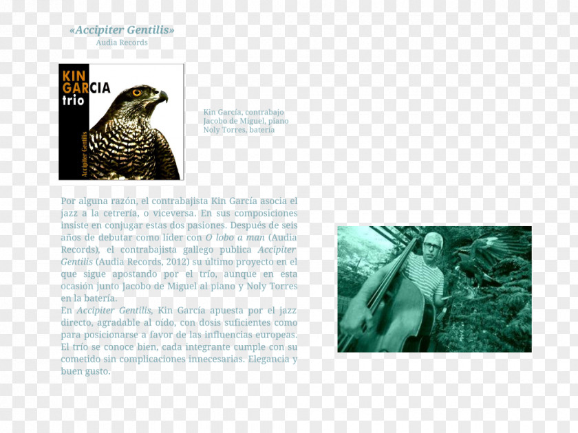 CONTRABAJO Animal Brochure PNG