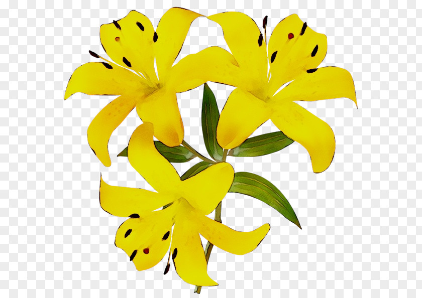 Flower Bouquet Clip Art Yellow PNG