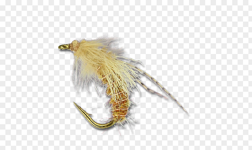 Flying Nymph Caddisfly The Fly Shop Feather Twisto PNG