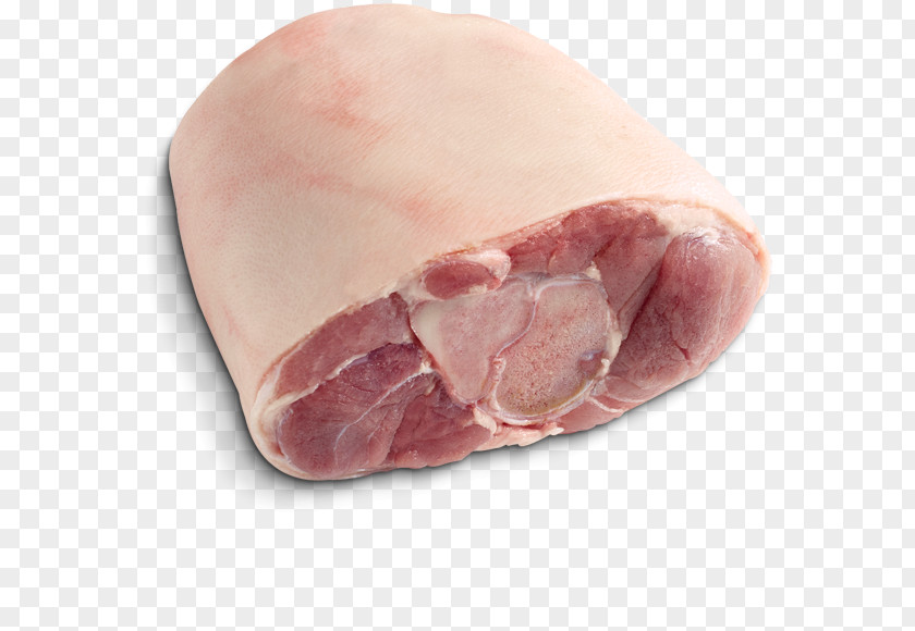 Ham Capocollo Bayonne Prosciutto Meat PNG