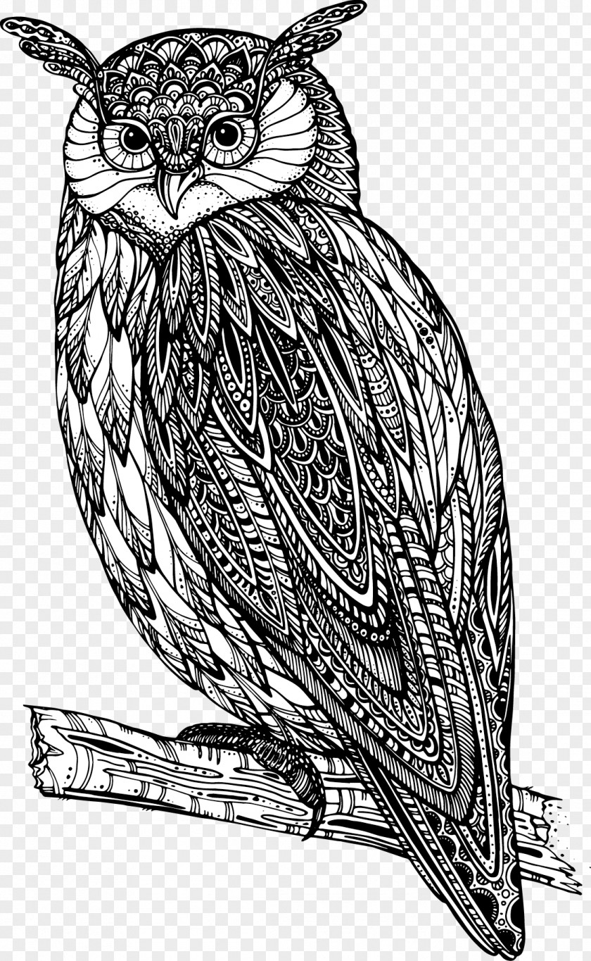 Hand-painted Owl Drawing Royalty-free Illustration PNG