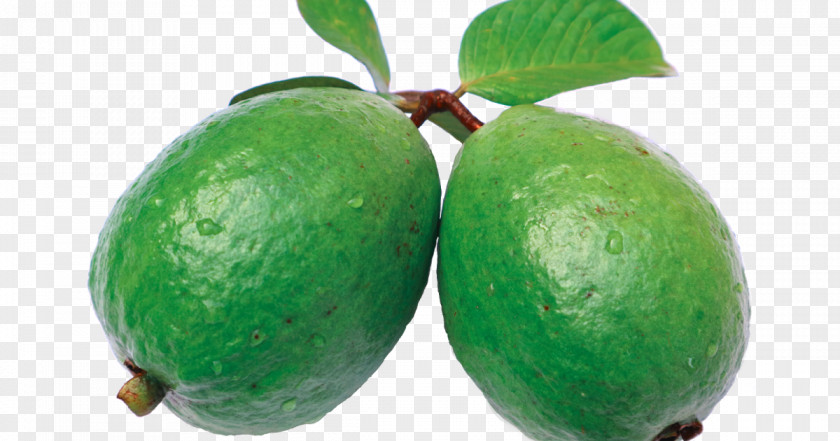Juice Common Guava Feijoa Fruit PNG
