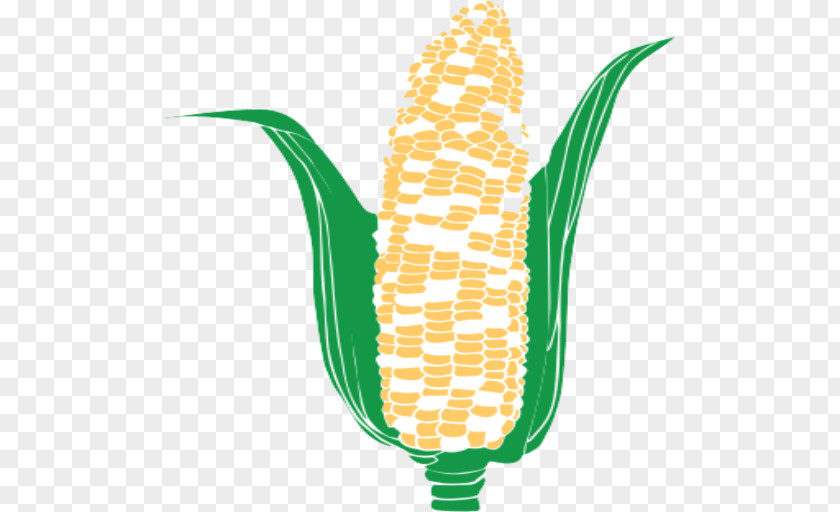 Sweet Corn Off The Cob Snacks Maize Salt Tortilla Chip On PNG