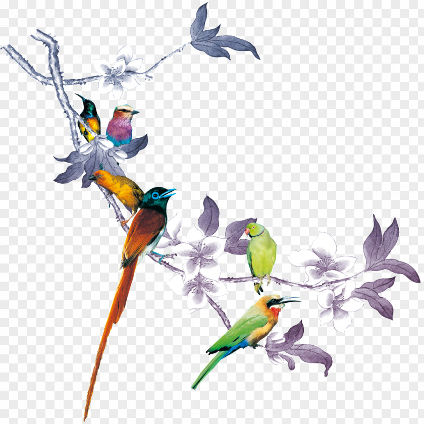 Bird Image Clip Art Photograph PNG