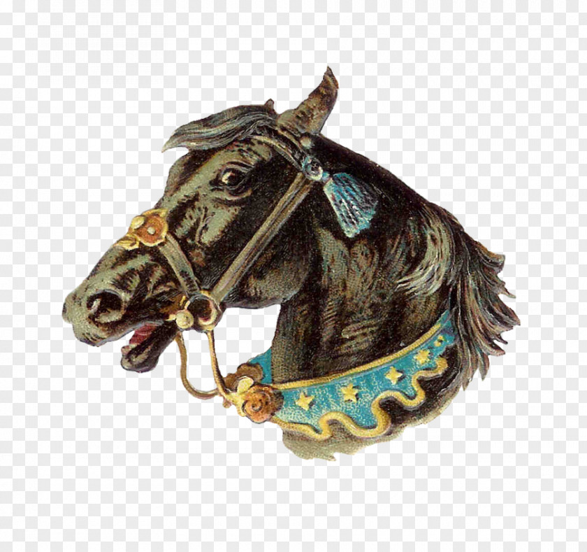 Circus Arabian Horse Clip Art PNG