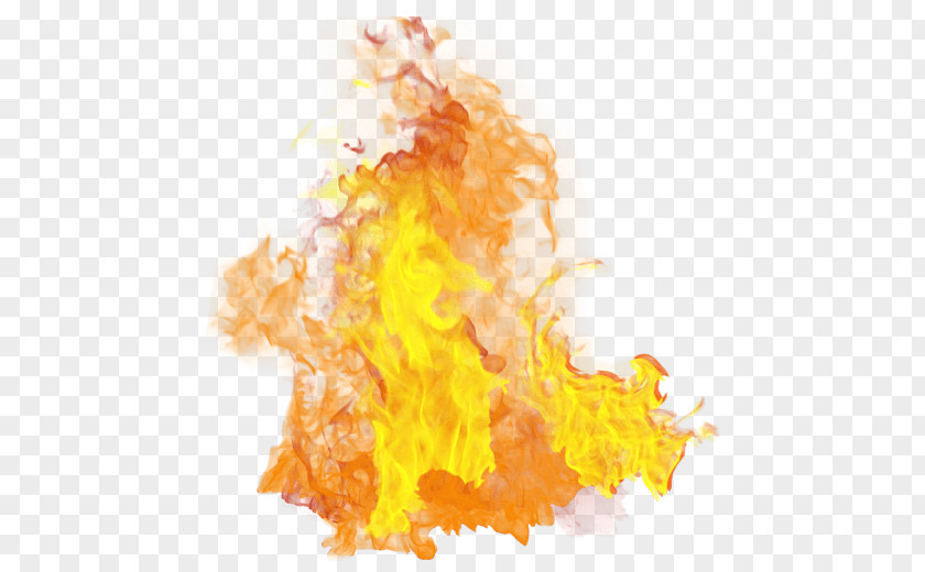 Fire Clip Art Image Flame Transparency PNG