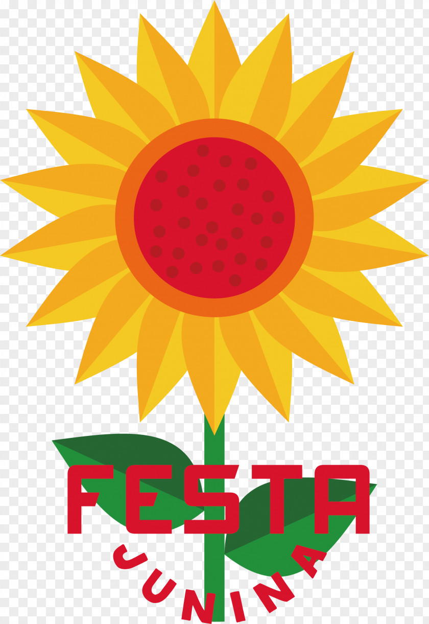 Floral Design PNG