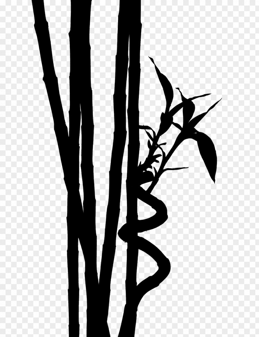 M Flower Leaf Plant Stem Font Black & White PNG