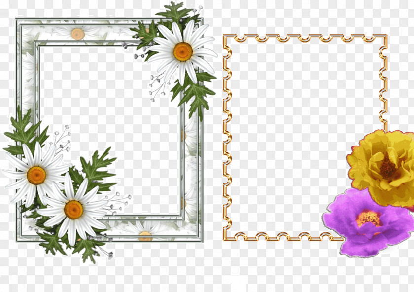 Merchants Of Doubt Floral Design Picture Frames Cut Flowers Pattern PNG