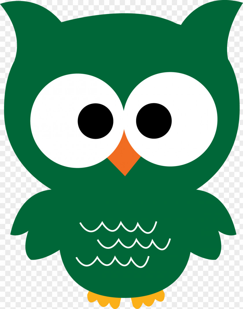 Owl Northern Saw-whet Coloring Book Printing Clip Art PNG