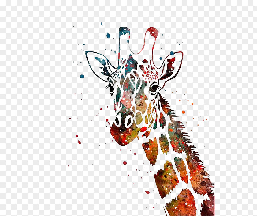 Painted Giraffe Watercolor Painting Canvas Print Art PNG