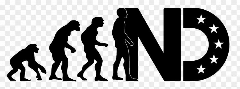 W Chimpanzee Human Evolution Homo Sapiens Hominini PNG