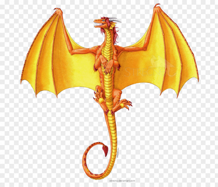 Dragon Strečno Artist DeviantArt PNG