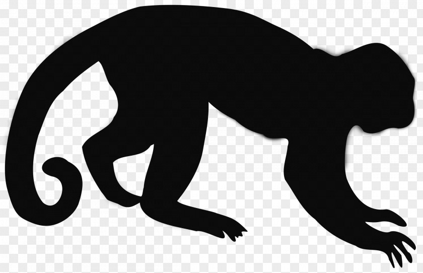 Gorilla Cat Mammal Human Clip Art PNG