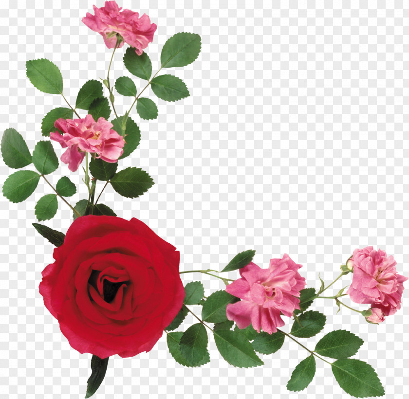 Red Lines Flower GIMP Clip Art PNG