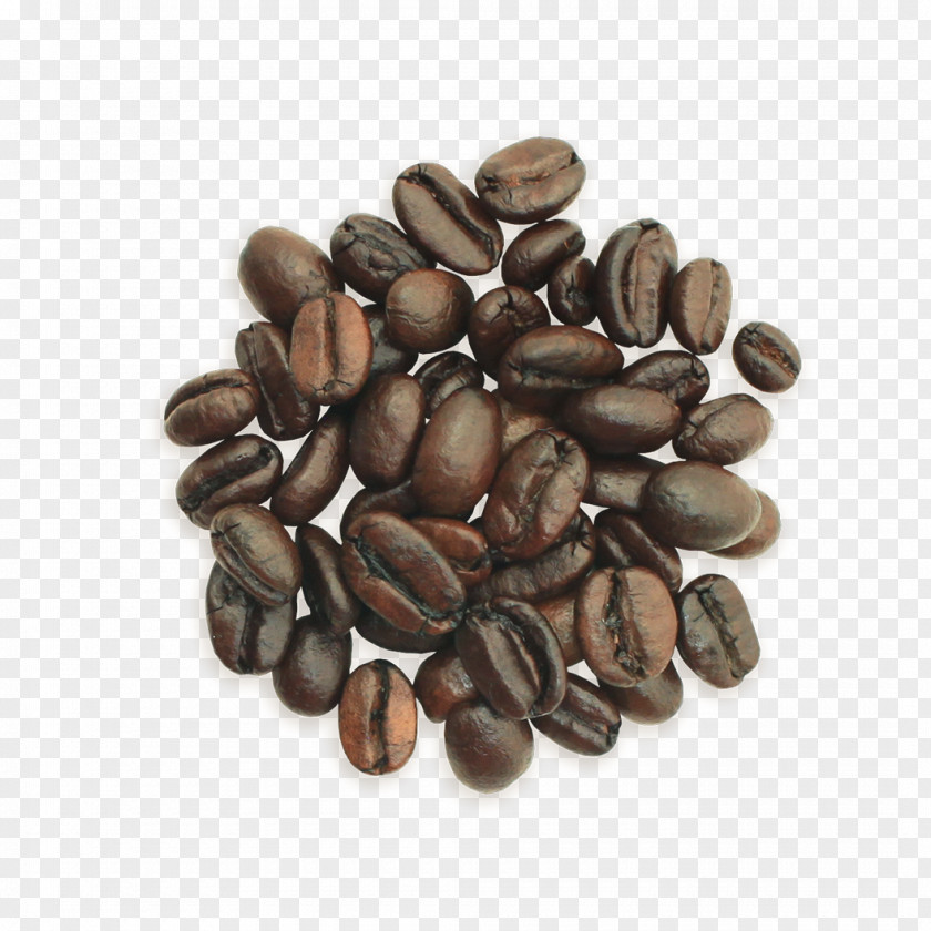 Roasted Seeds And Nuts Name Card Philz Coffee Cafe Nut Palo Alto PNG