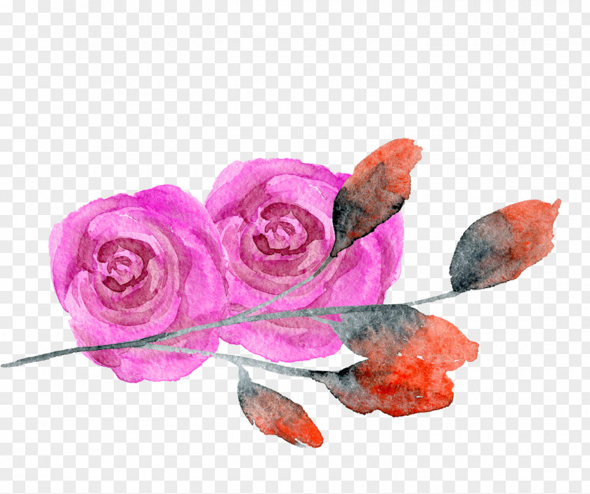 Rose Red Flower Watercolor Garden Roses Creative Transparent Painting PNG