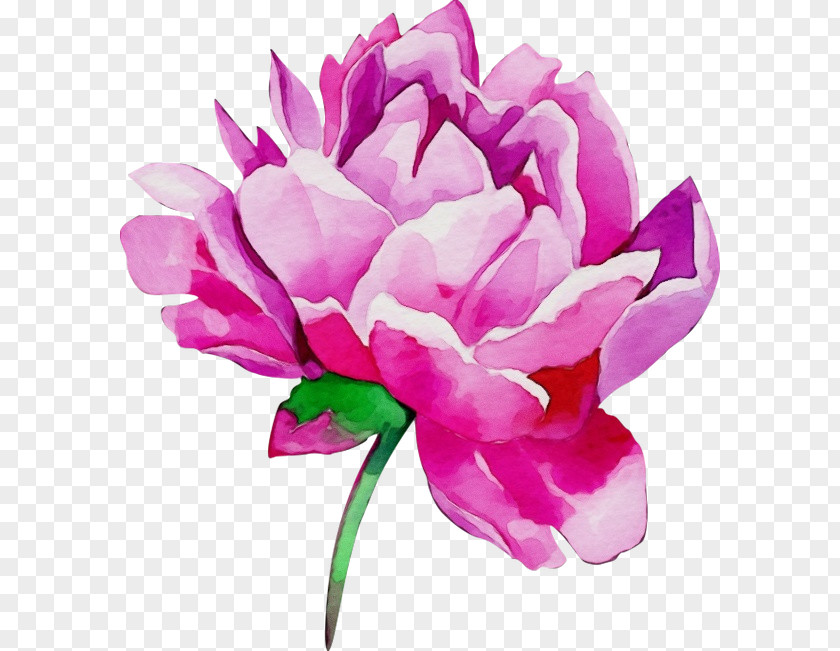 Watercolor Paint Artificial Flower Pink Flowers PNG