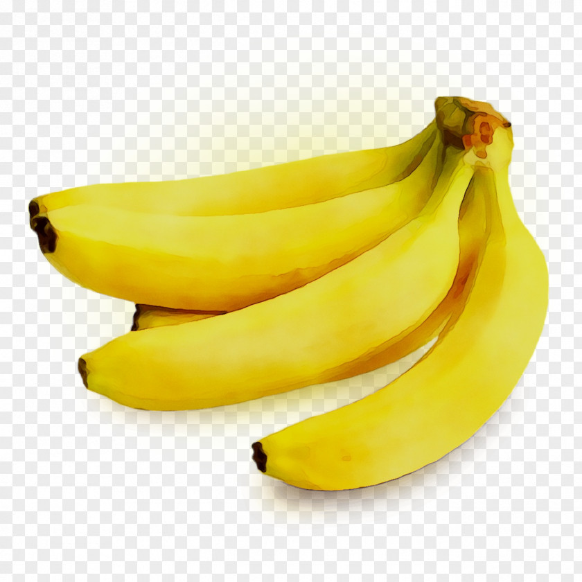 Cooking Banana Plantain Fruit Vegetable PNG