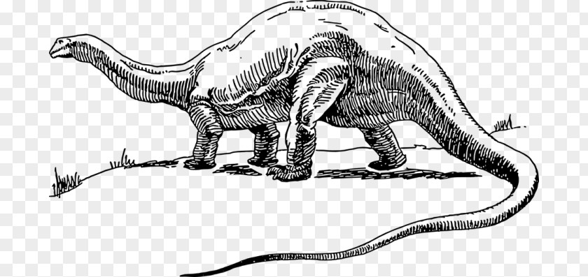 Dinosaur Apatosaurus Brontosaurus Tyrannosaurus Park Diplodocus PNG